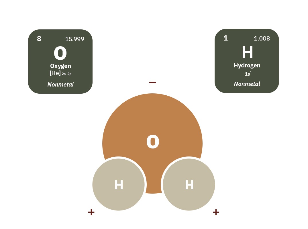 مولکول آب تشکیل شده از یک اتم اکسیژن و دو اتم هیدروژن است.
